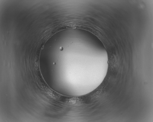 X0000055210420200508301327.png