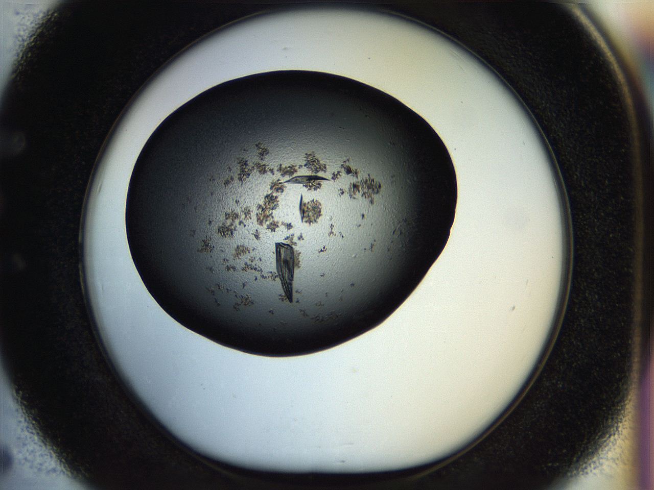 057n_E5_ImagerDefaults_9.jpg