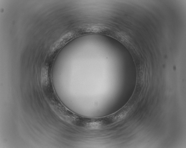 X0000054650312200508091648.png