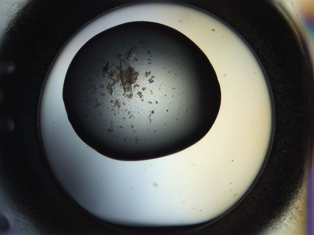 057n_E6_ImagerDefaults_9.jpg
