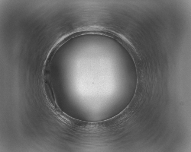 X0000055211364200508301311.png
