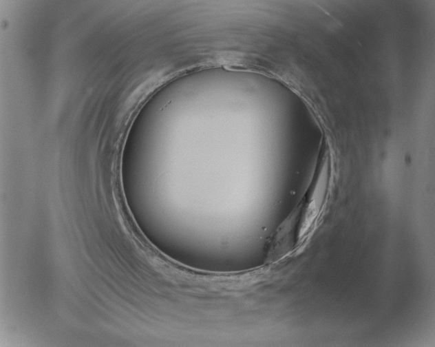 X0000054650001200508091653.png