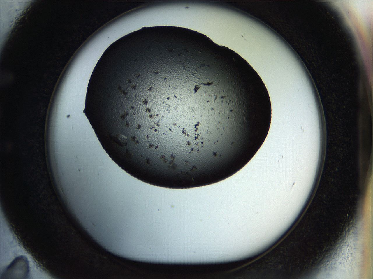 057n_E11_ImagerDefaults_9.jpg