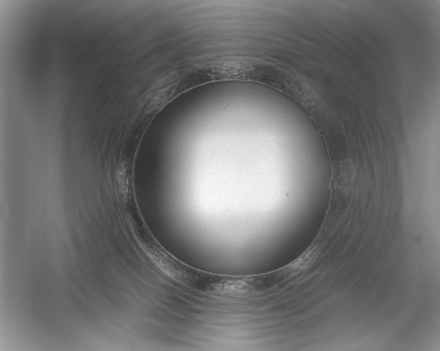 X0000055060086200508161657.png