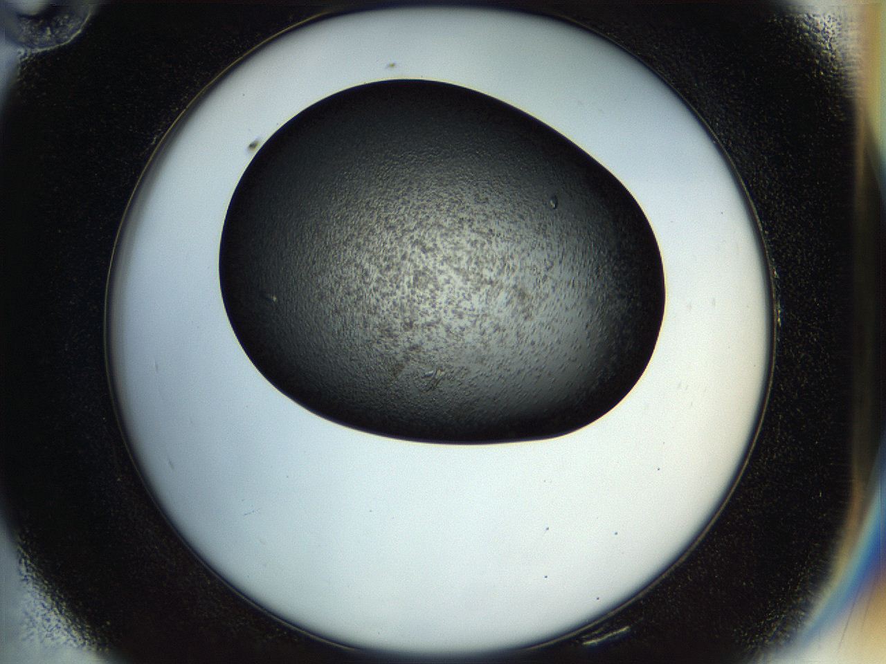 057n_E10_ImagerDefaults_9.jpg