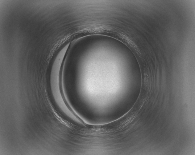 X0000055210493200508301325.png