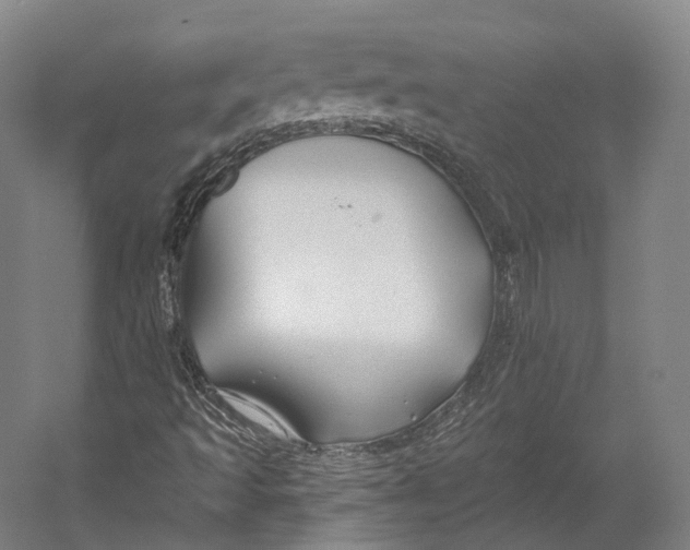 X0000055211493200508301308.png