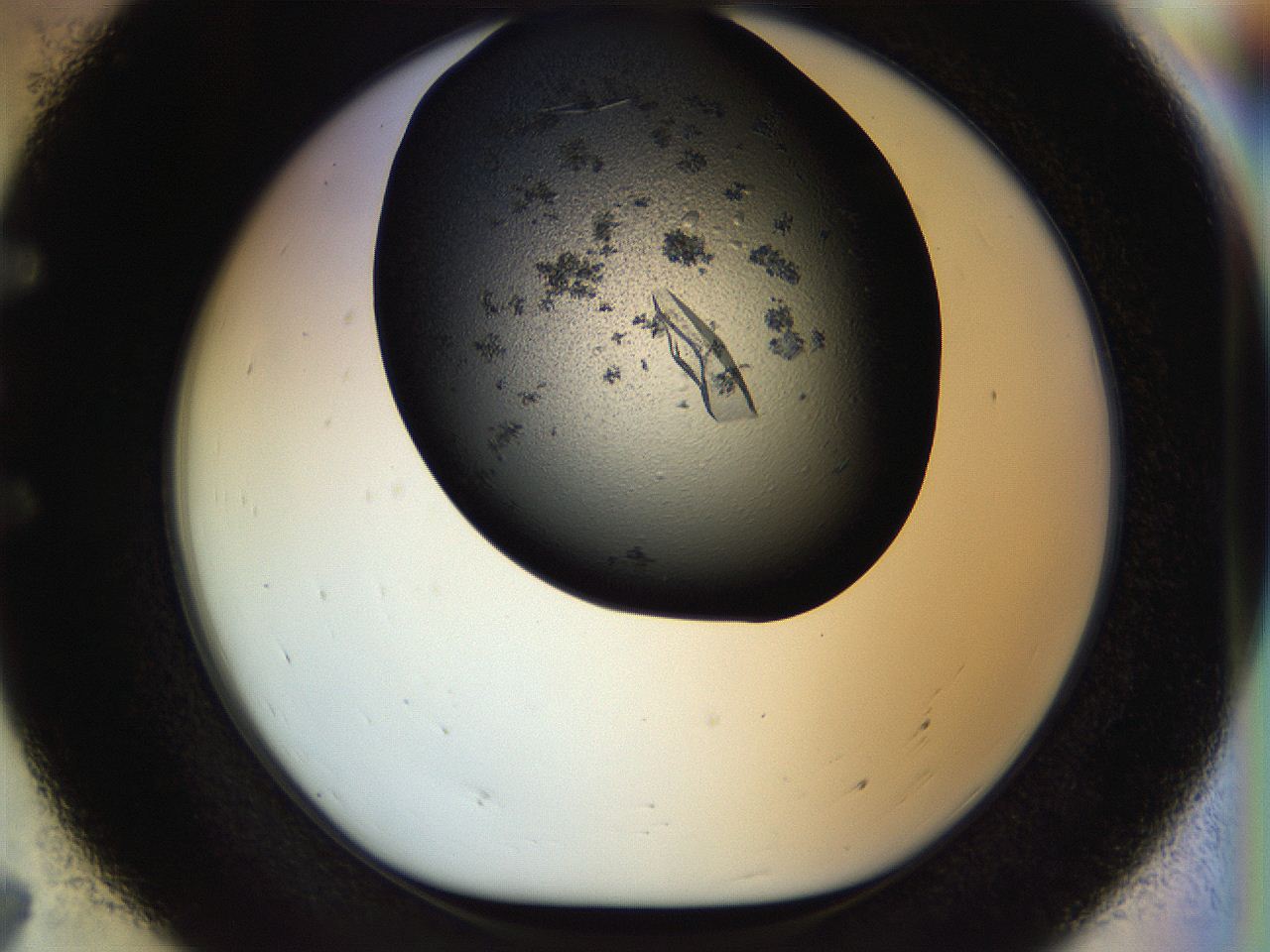 057n_E7_ImagerDefaults_9.jpg