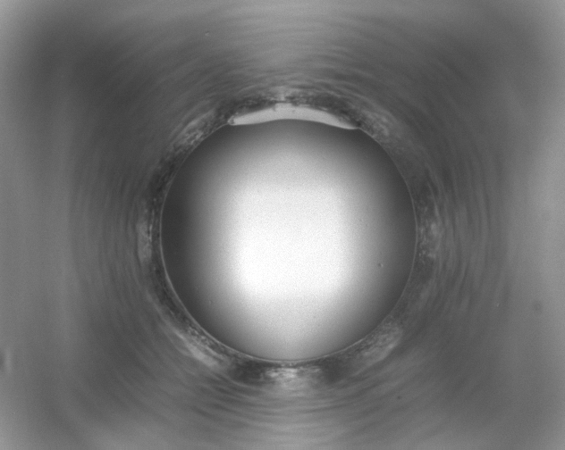 X0000054330558200508111922.png