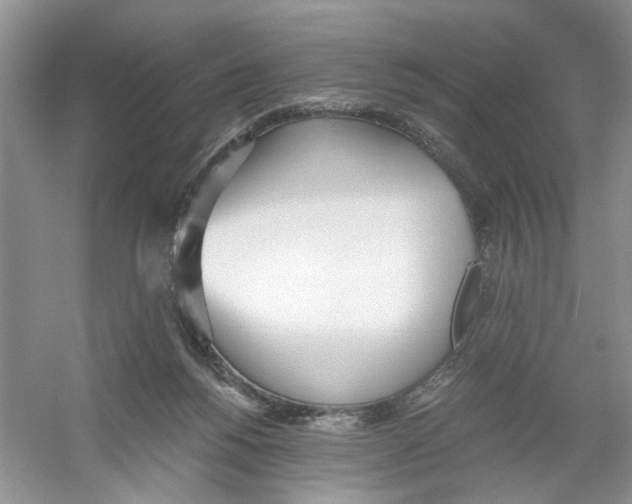 X0000054270168200508261925.png