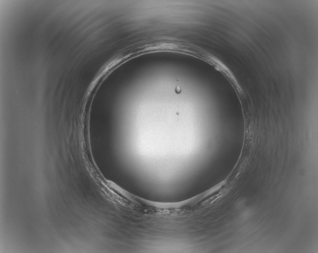 X0000055061146200508161639.png