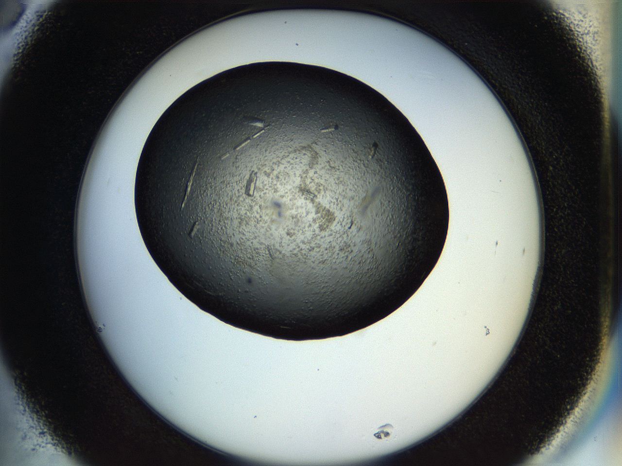 057n_C6_ImagerDefaults_9.jpg