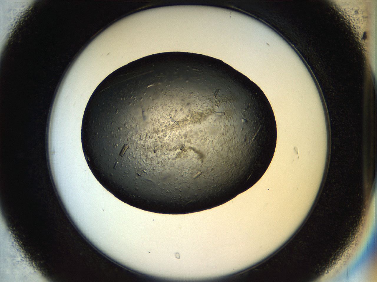 057n_C7_ImagerDefaults_9.jpg