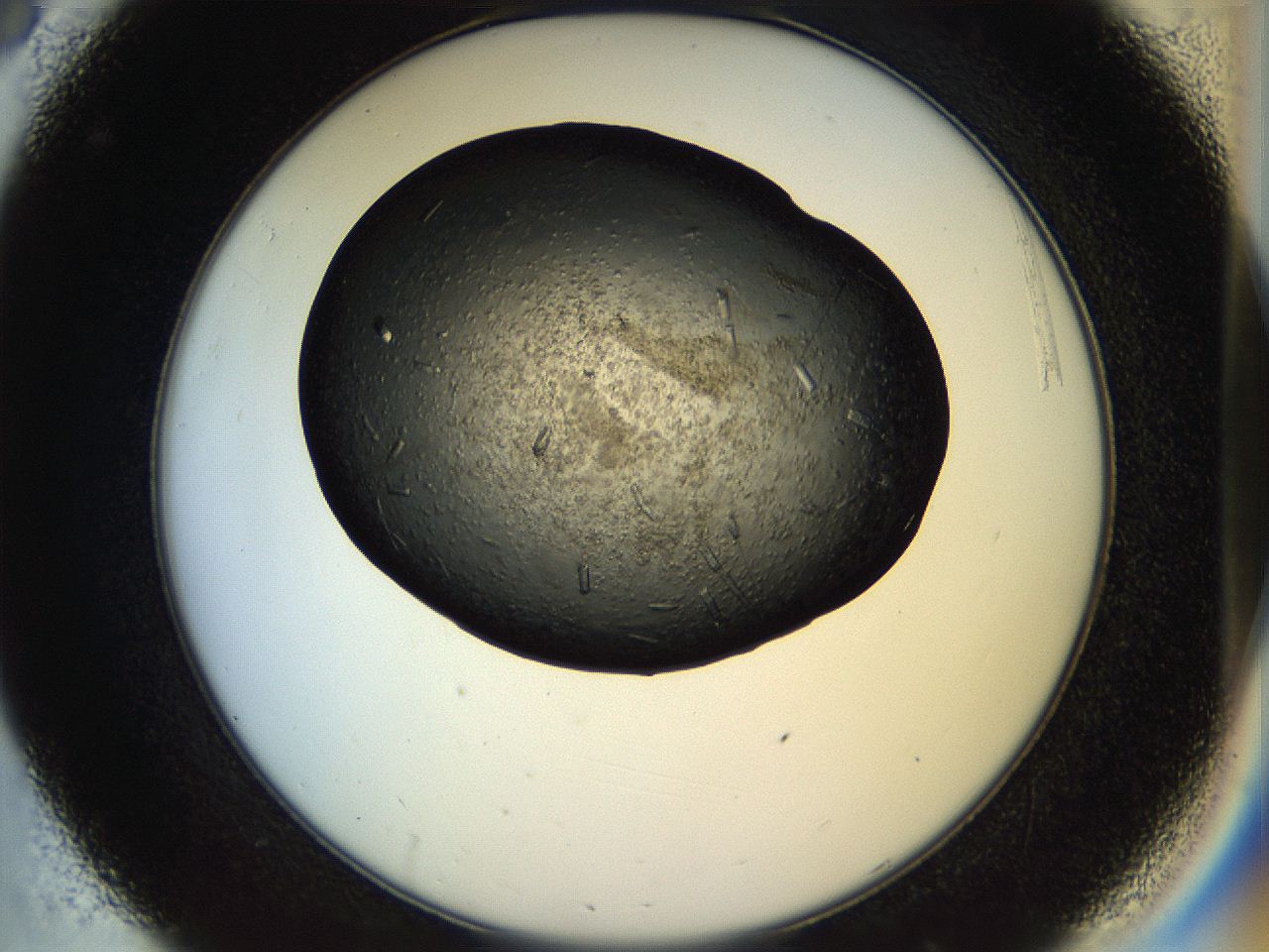 057n_C8_ImagerDefaults_9.jpg