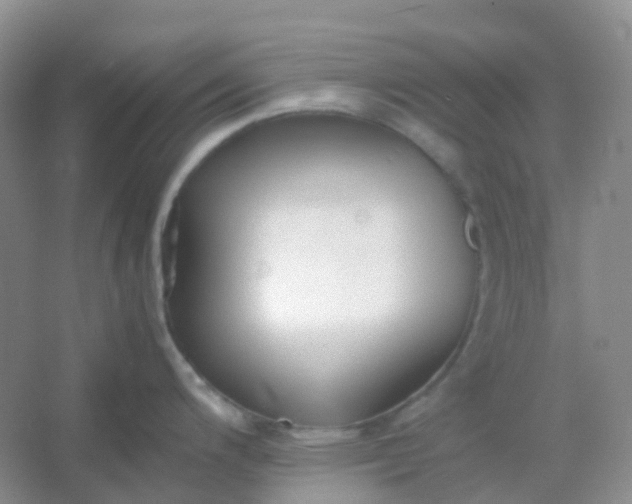 X0000054331200200508111911.png