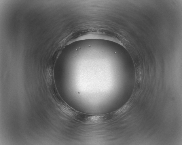 X0000055060184200508161655.png
