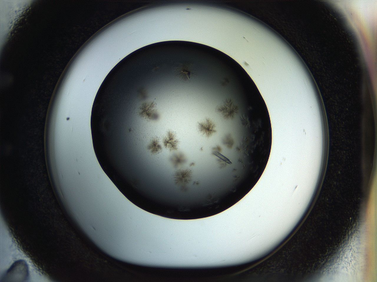 057o_E11_ImagerDefaults_9.jpg