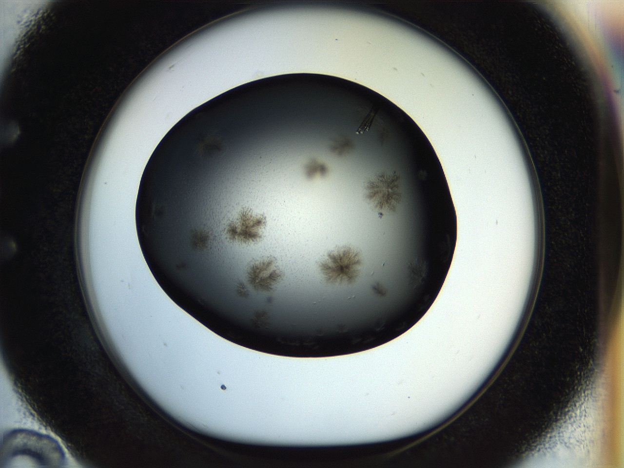 057o_E10_ImagerDefaults_7.jpg