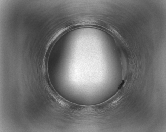 X0000055060885200508161643.png