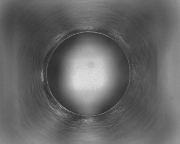 X0000055210068200508301332.png