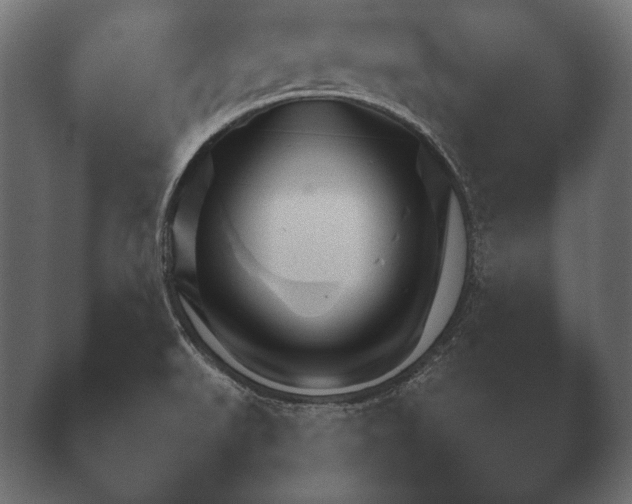 X0000040561519200411021415.png
