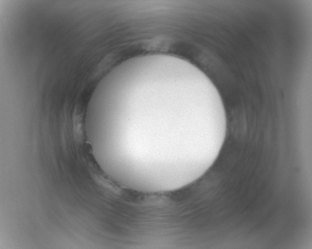 X0000054331154200508111911.png