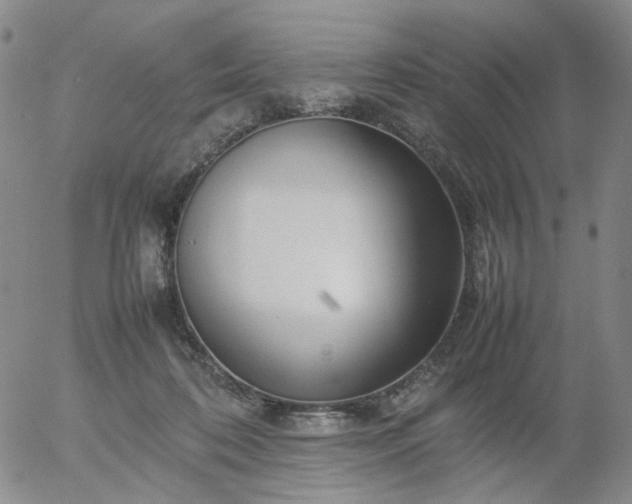 X0000054650316200508091648.png