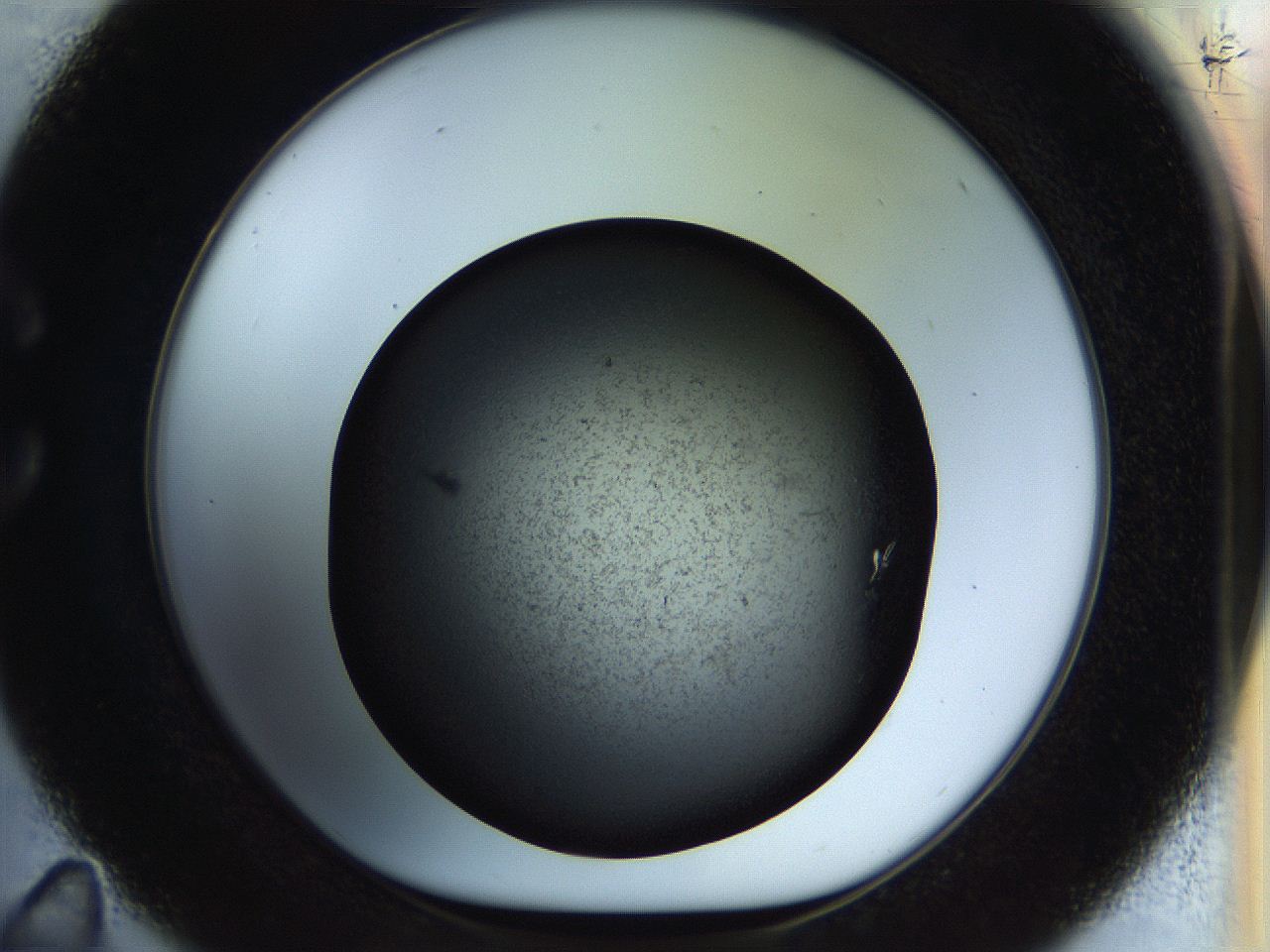057o_C11_ImagerDefaults_7.jpg