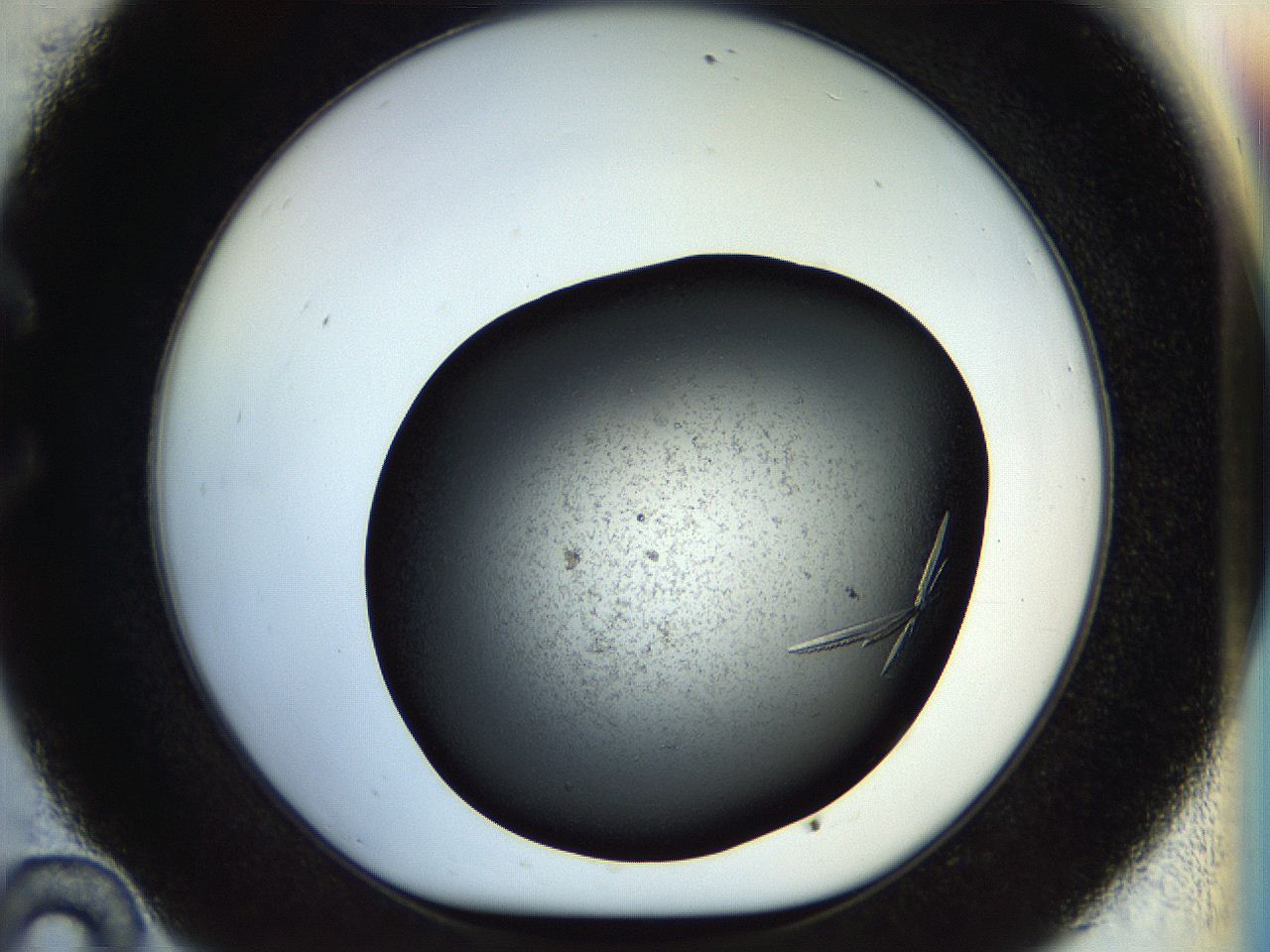057o_C10_ImagerDefaults_7.jpg