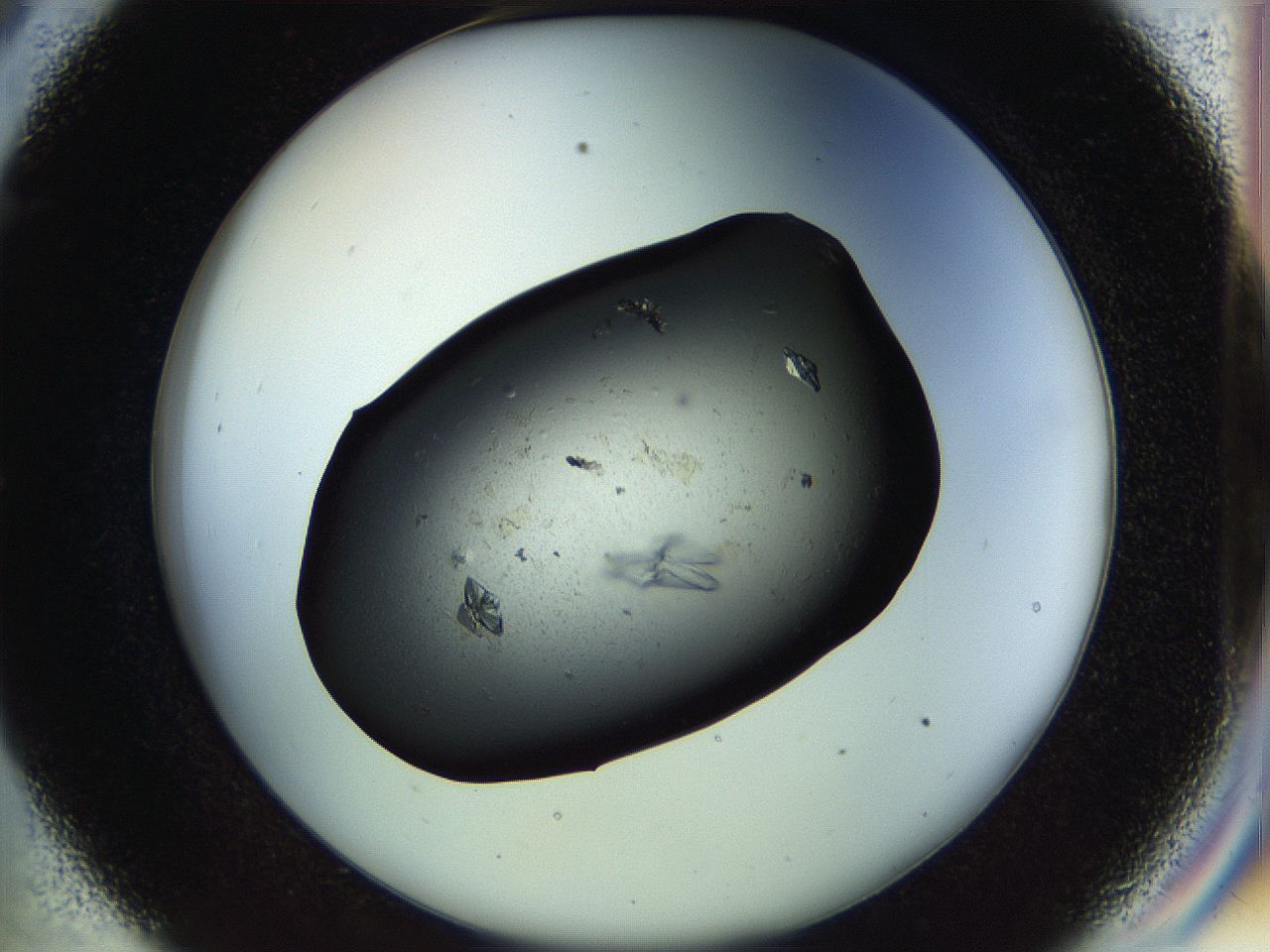 057o_C9_ImagerDefaults_9.jpg