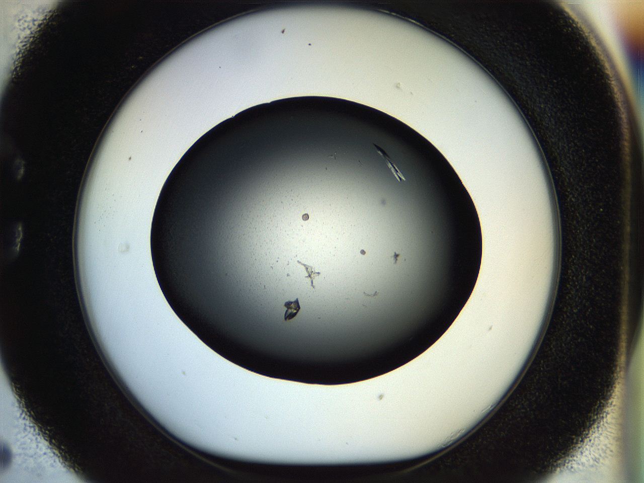 057o_C5_ImagerDefaults_9.jpg