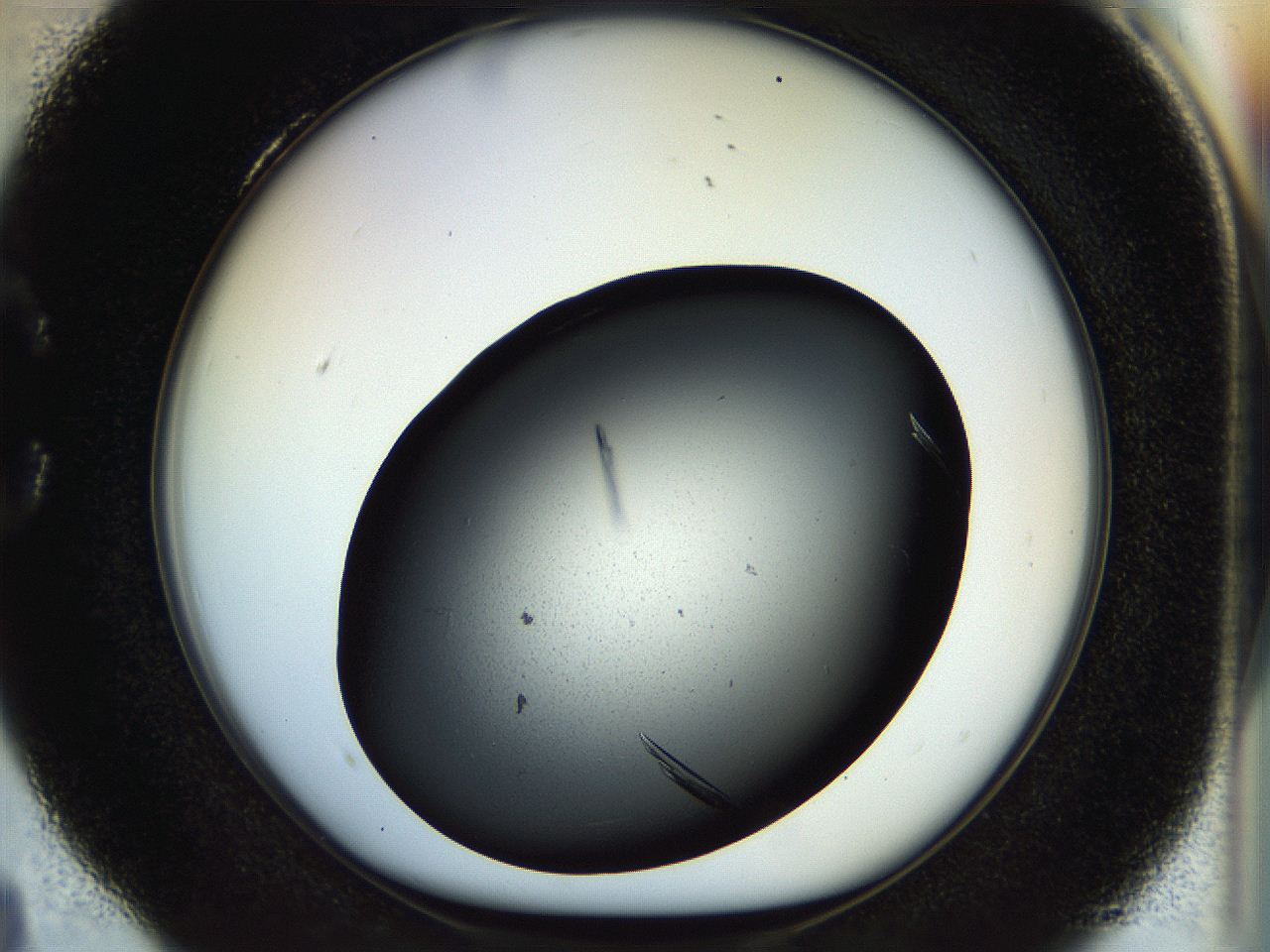 057o_C4_ImagerDefaults_9.jpg