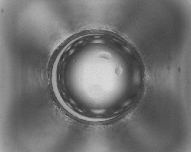 X0000052120877200507262049.png