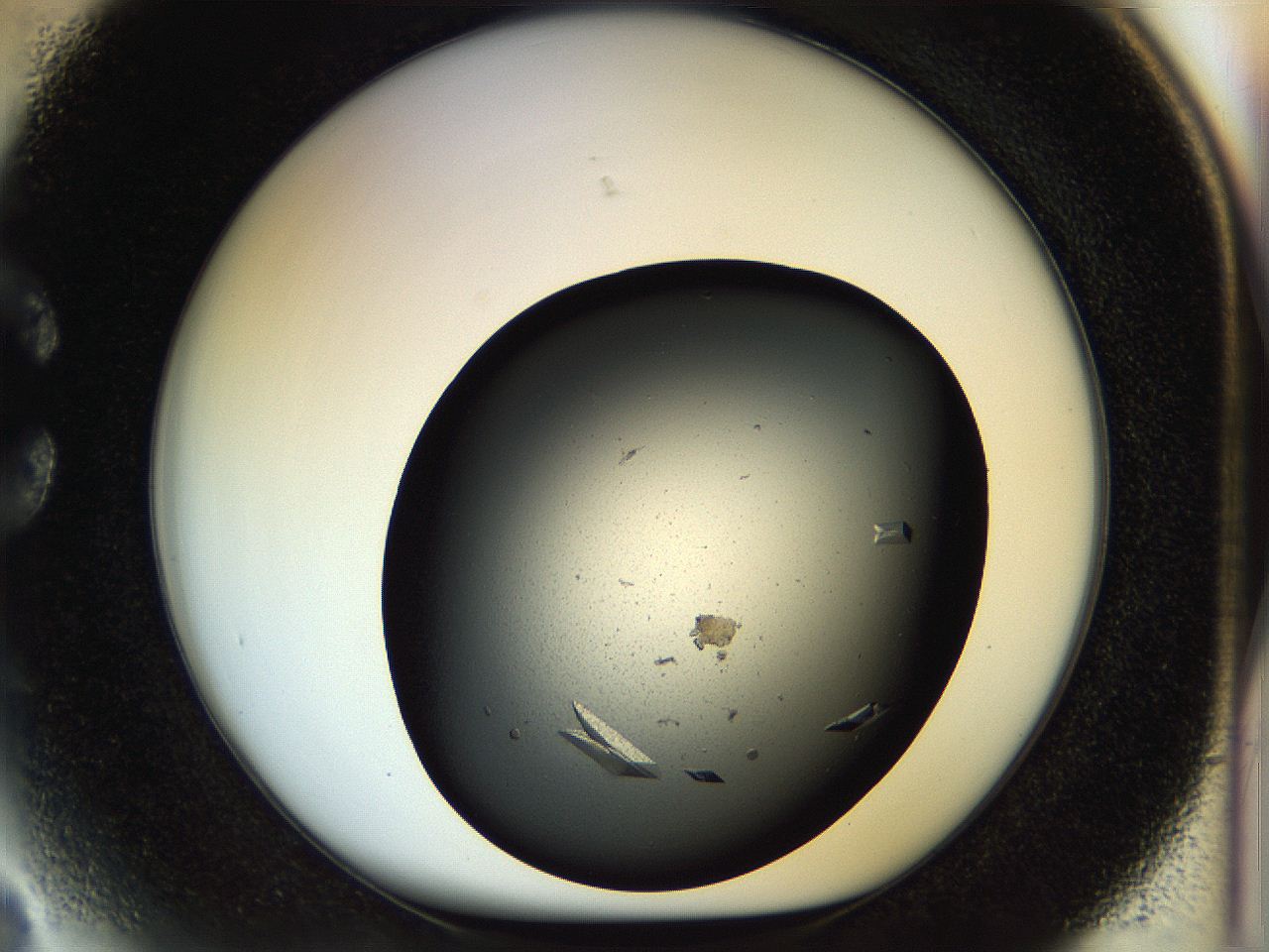 057o_C3_ImagerDefaults_9.jpg