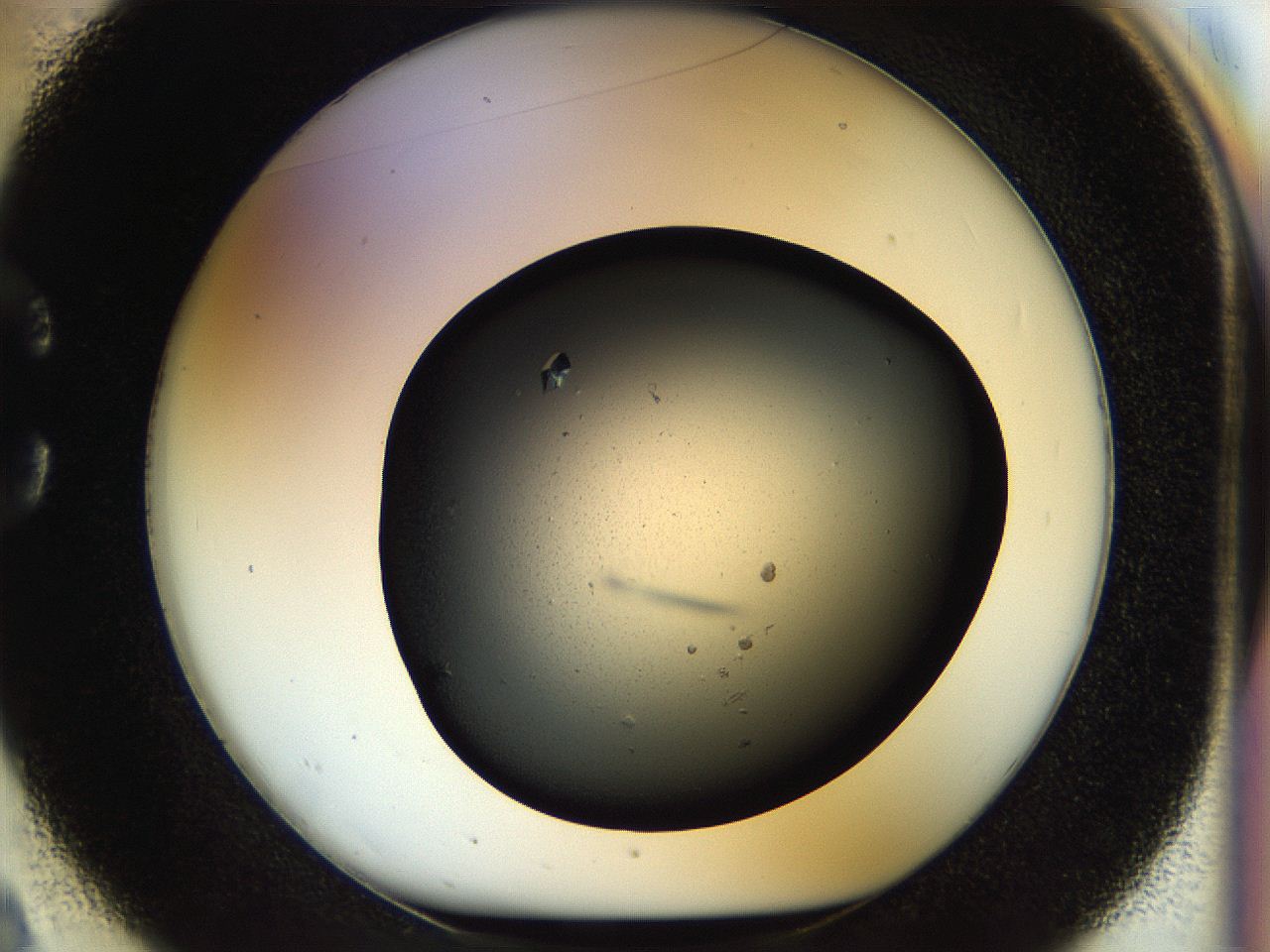 057o_C2_ImagerDefaults_9.jpg