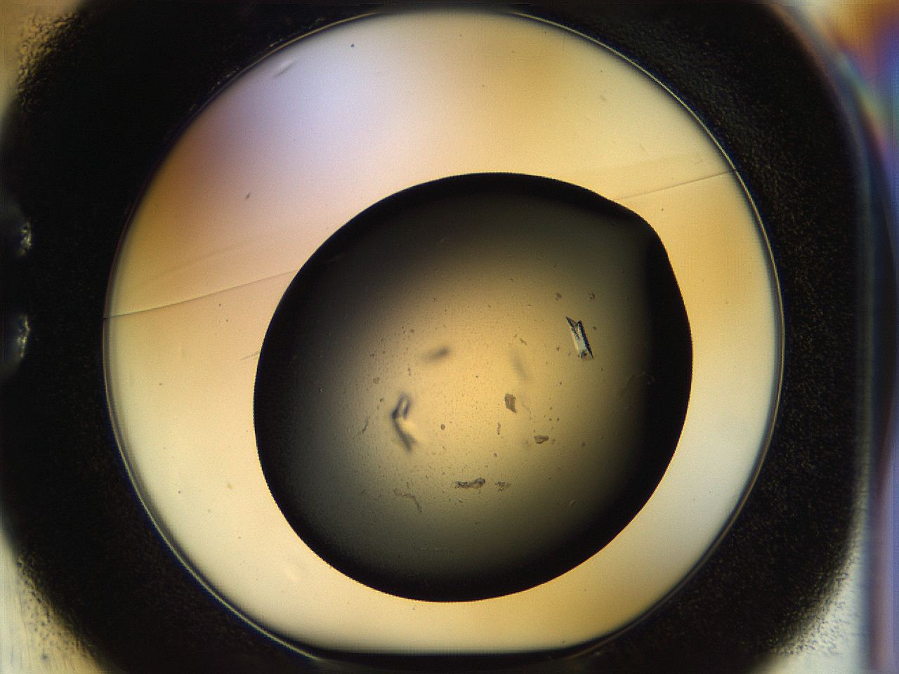 057o_C1_ImagerDefaults_9.jpg