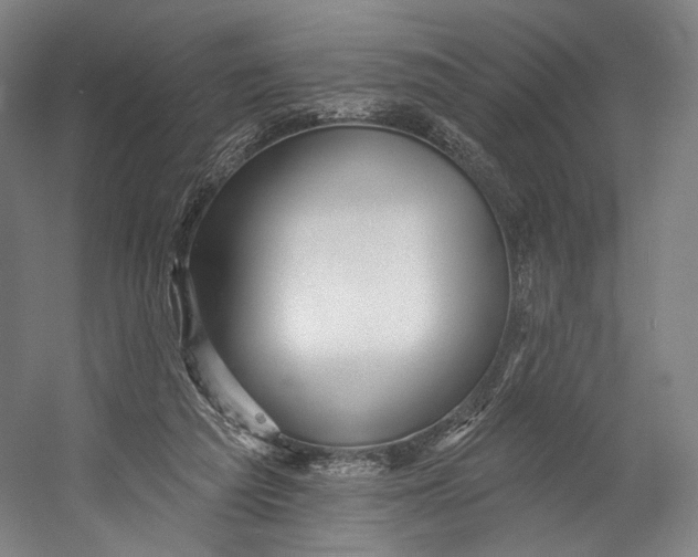 X0000055210209200508301330.png
