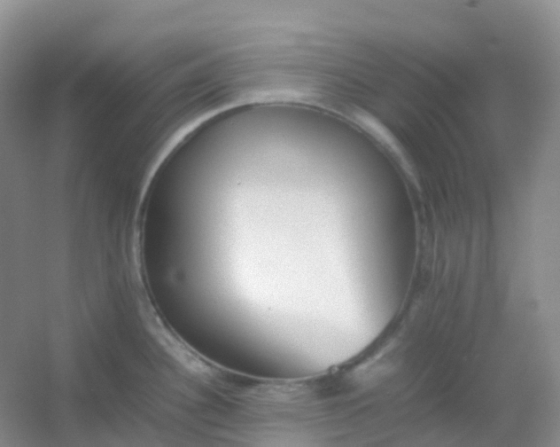 X0000054331340200508111909.png