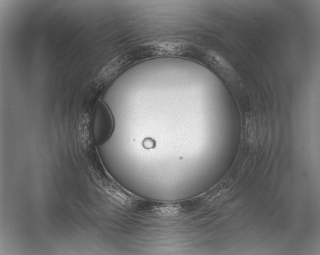 X0000055060318200508161652.png