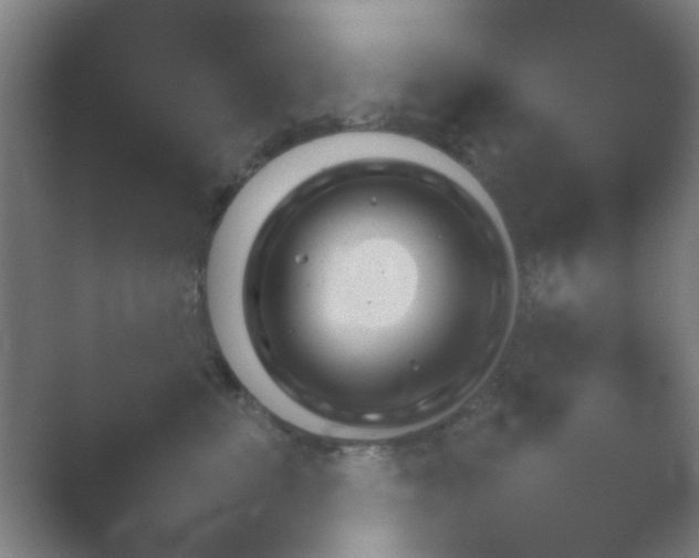 X0000054110667200508022100.png