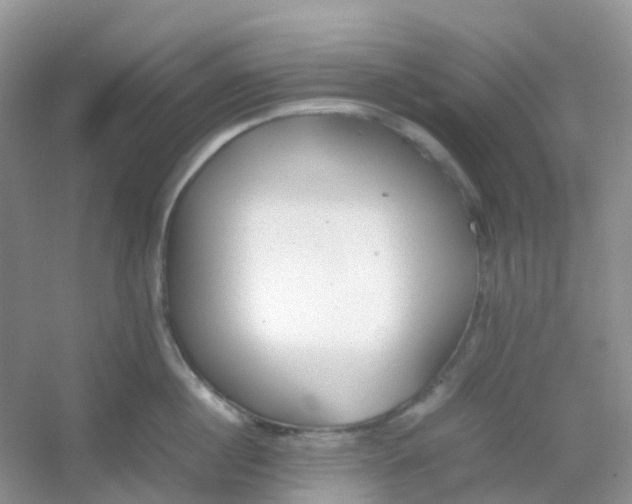 X0000054330860200508111917.png