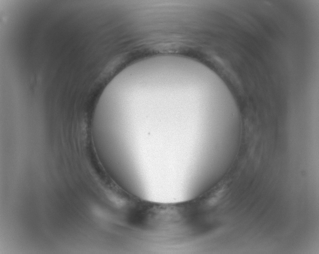 X0000054330113200508111929.png