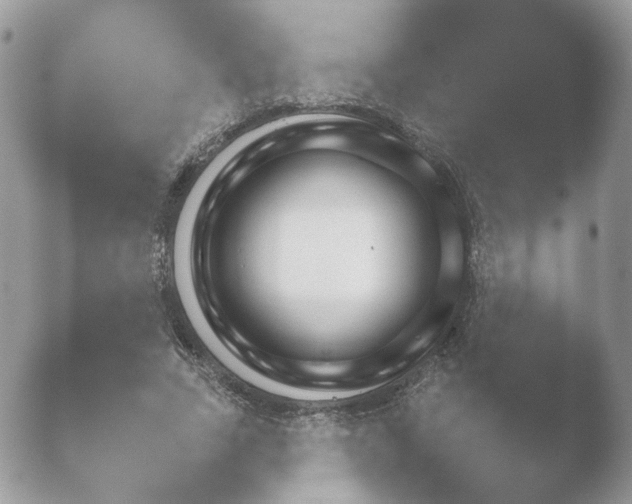 X0000052120735200507262051.png
