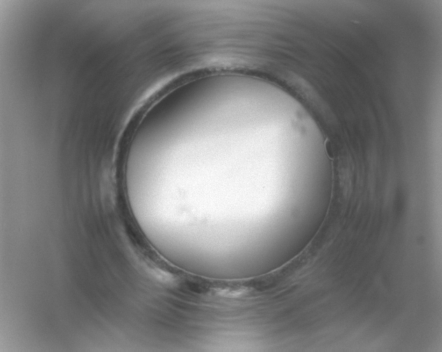 X0000054330488200508111923.png