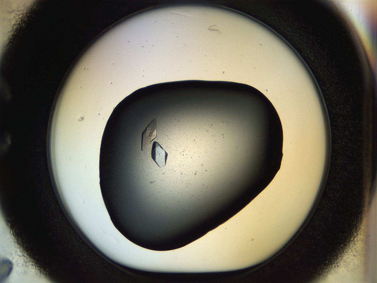 057p_C7_ImagerDefaults_9.jpg