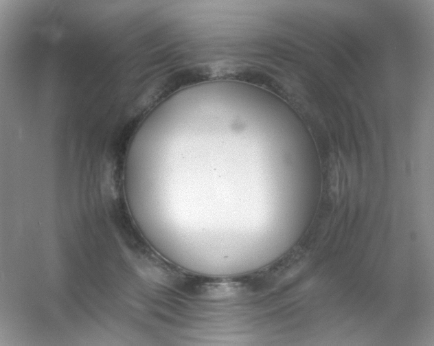 X0000054330316200508111926.png