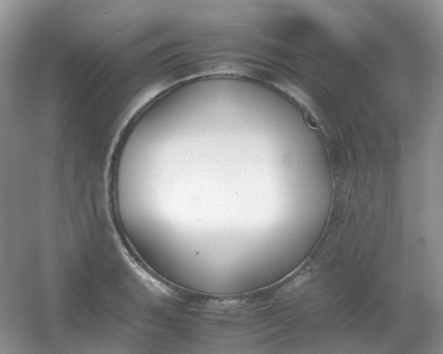 X0000054331135200508111912.png