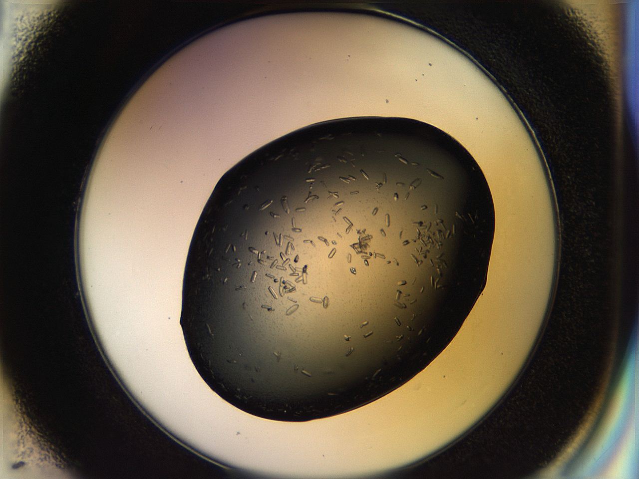 057p_E1_ImagerDefaults_7.jpg