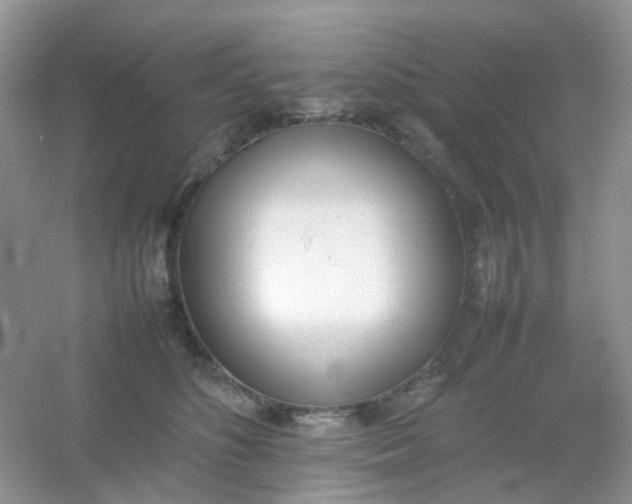 X0000054330516200508111922.png
