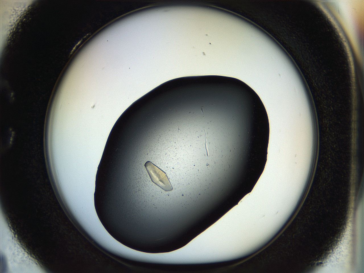 057p_C4_ImagerDefaults_9.jpg